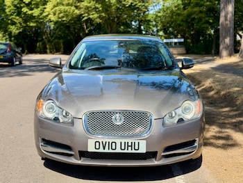 Used Jaguar XF 2010 for sale - 79271652: Photo