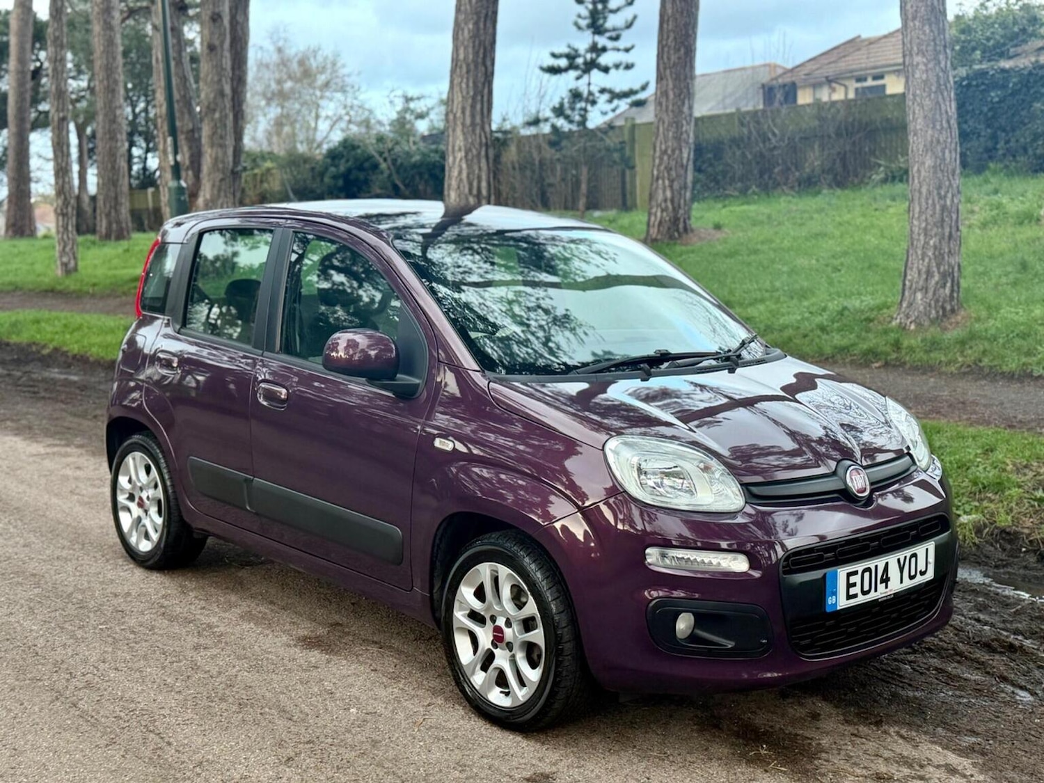 Used Fiat Panda 2014 for sale - 77310710: Photo 2