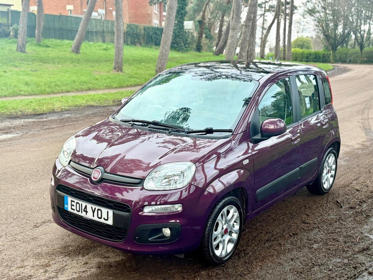 Used Fiat Panda 2014 for sale - 77310710: Photo 5