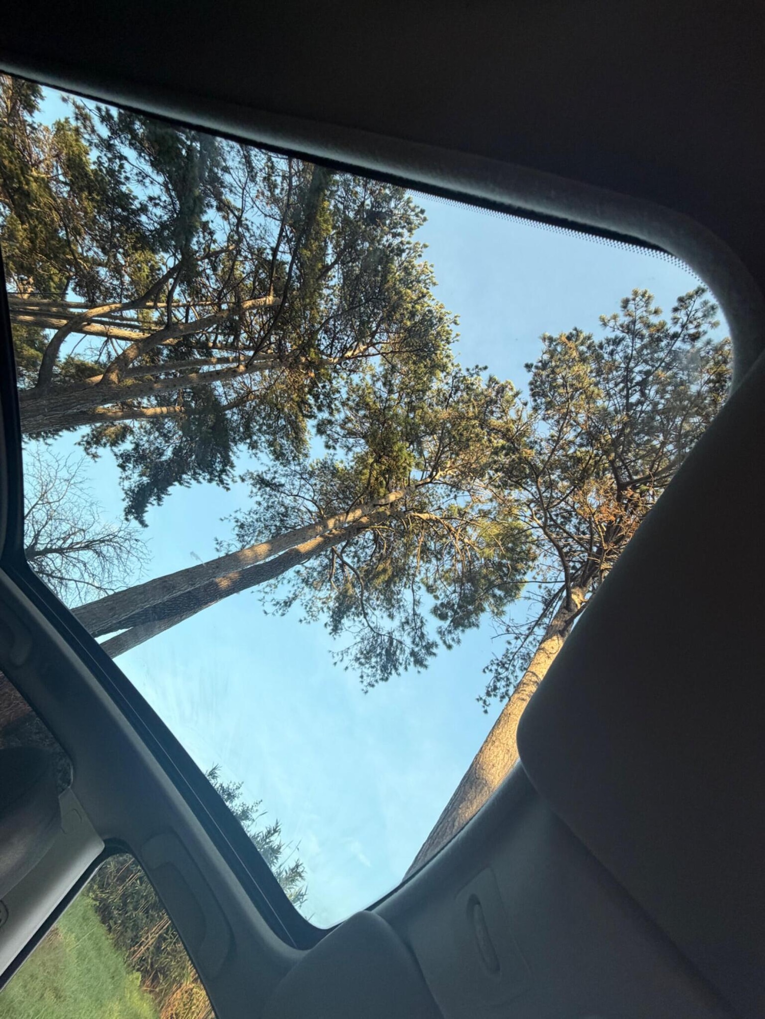 Used Nissan Qashqai 2009 for sale - 76940069: Photo 19