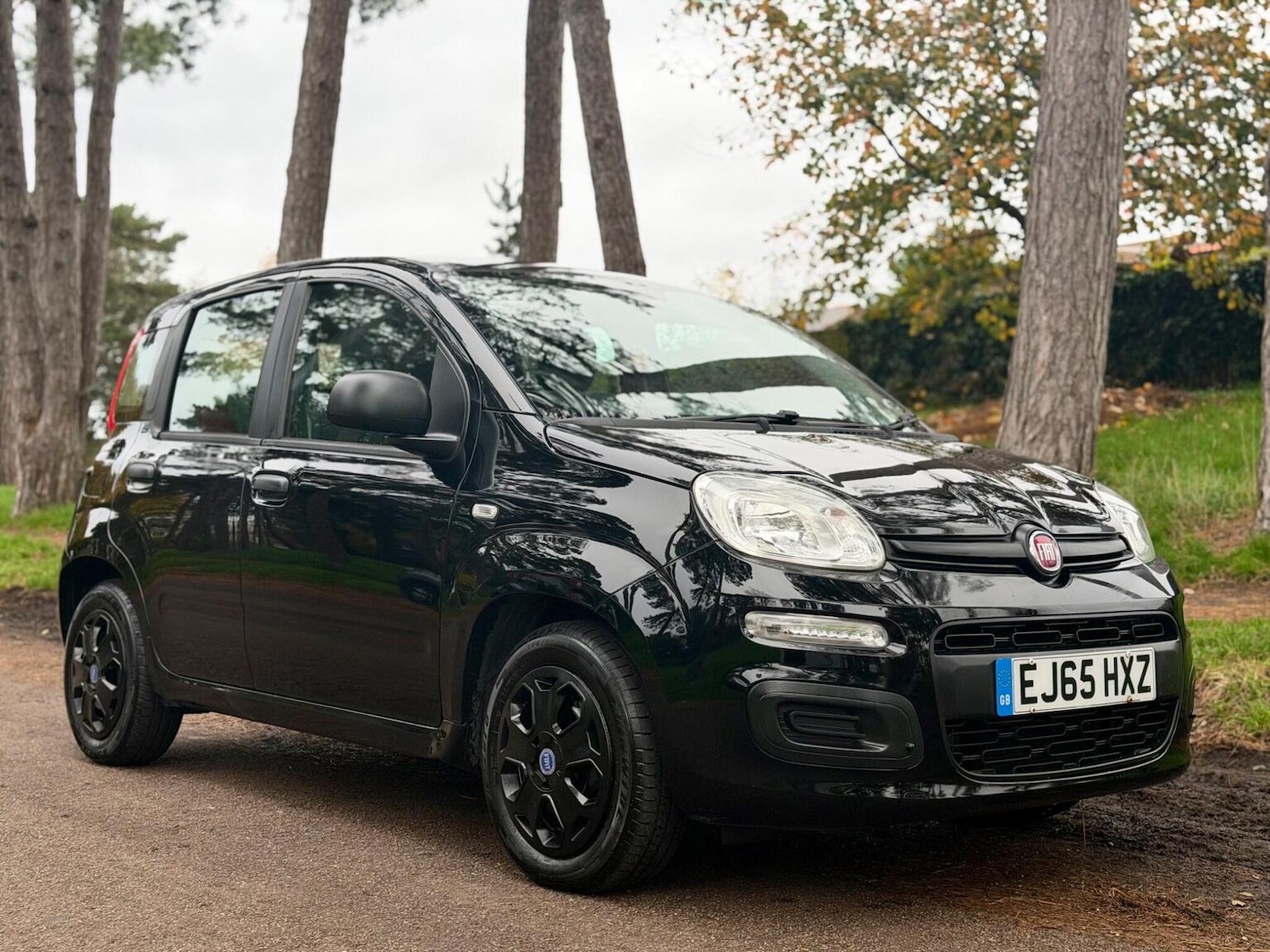 Used Fiat Panda 2015 for sale - 76744118: Photo 1