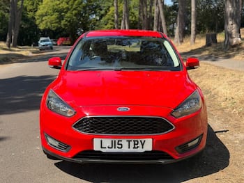 Used Ford Focus 2015 for sale - 79811693: Photo