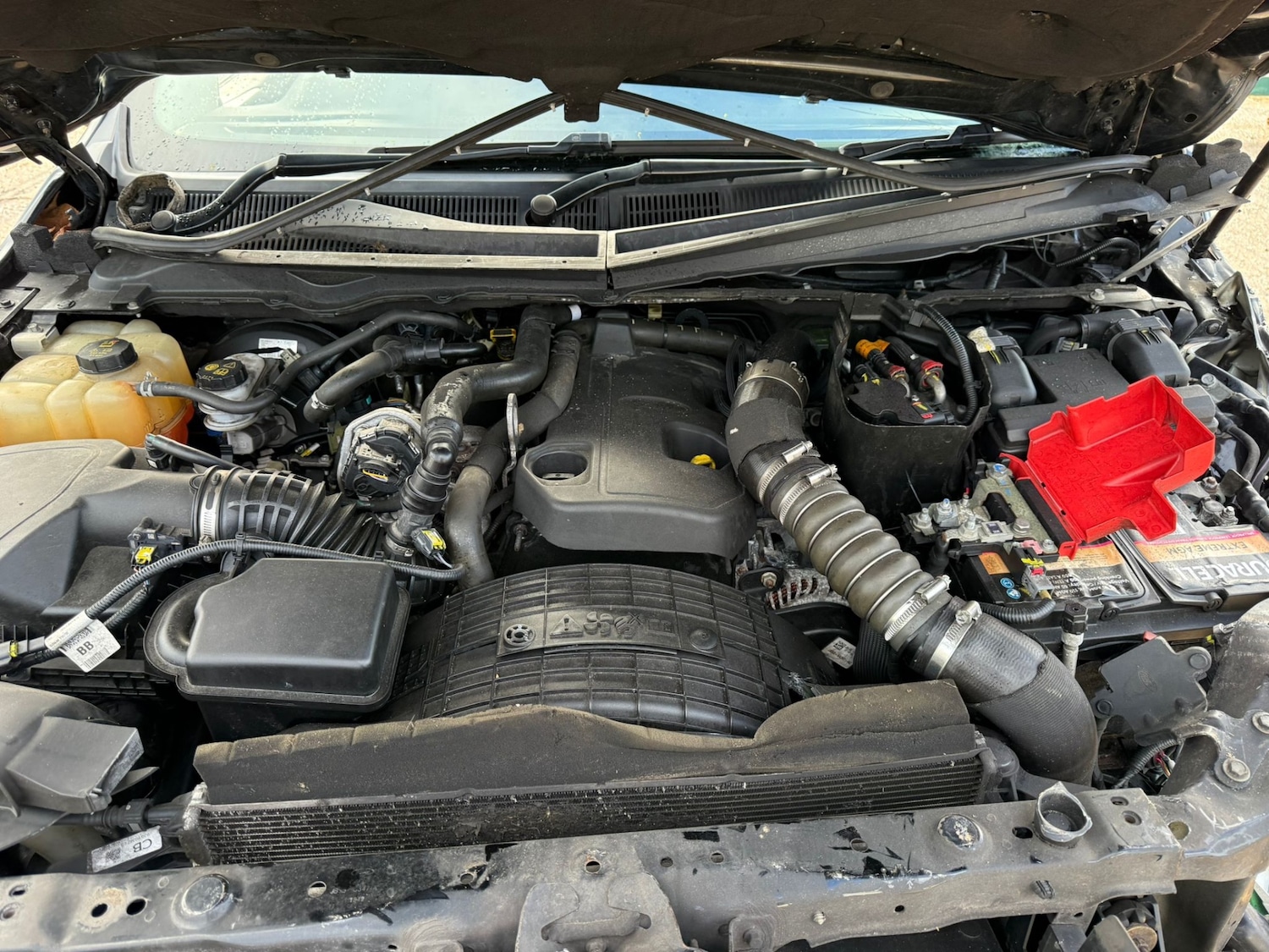 Used Ford Ranger 2020 for sale - 77584940: Photo 8