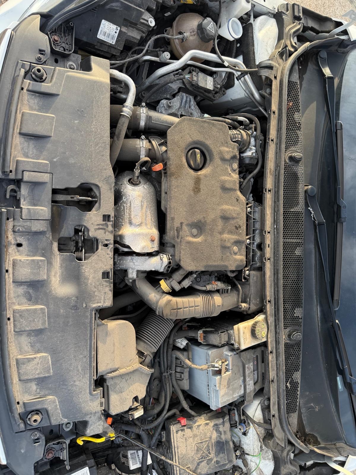 Used Peugeot 308 2021 for sale - 76069386: Photo 13