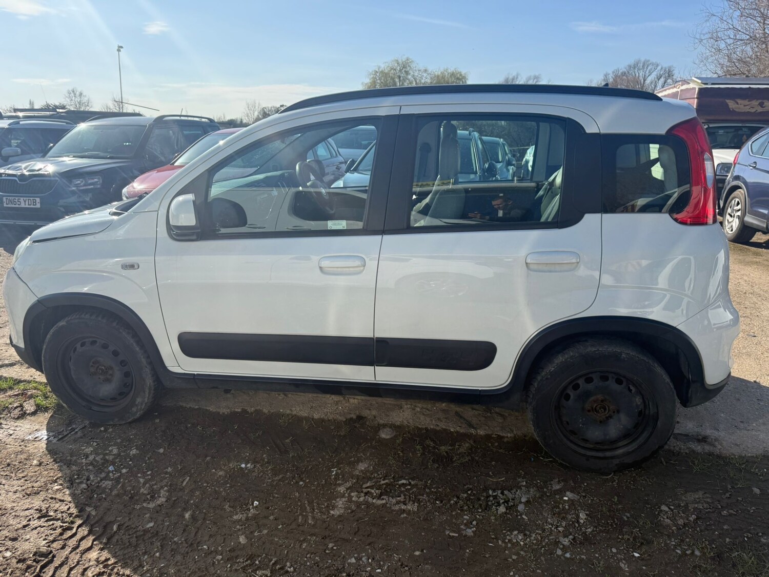 Used Fiat Panda 2014 for sale - 77959097: Photo 6