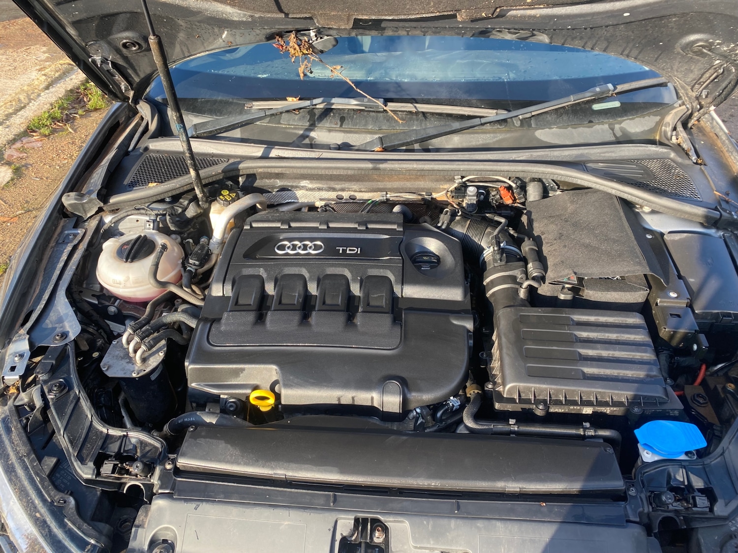 Vehicle 13