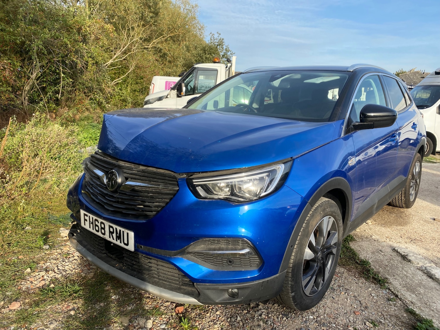 Used Vauxhall Grandland X 2019 for sale - 77793066: Photo 1