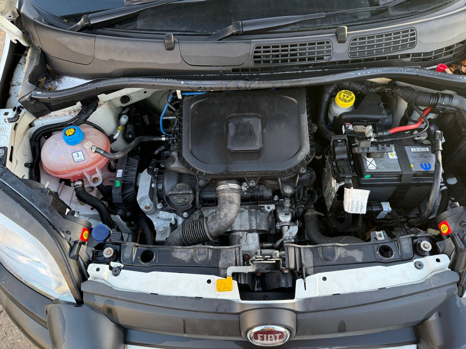 Used Fiat Panda 2020 for sale - 77280658: Photo 12