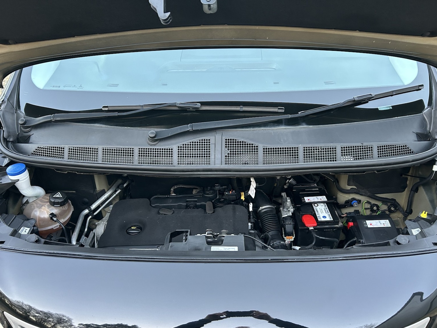 Used Peugeot Expert 2021 for sale - 76904644: Photo 36