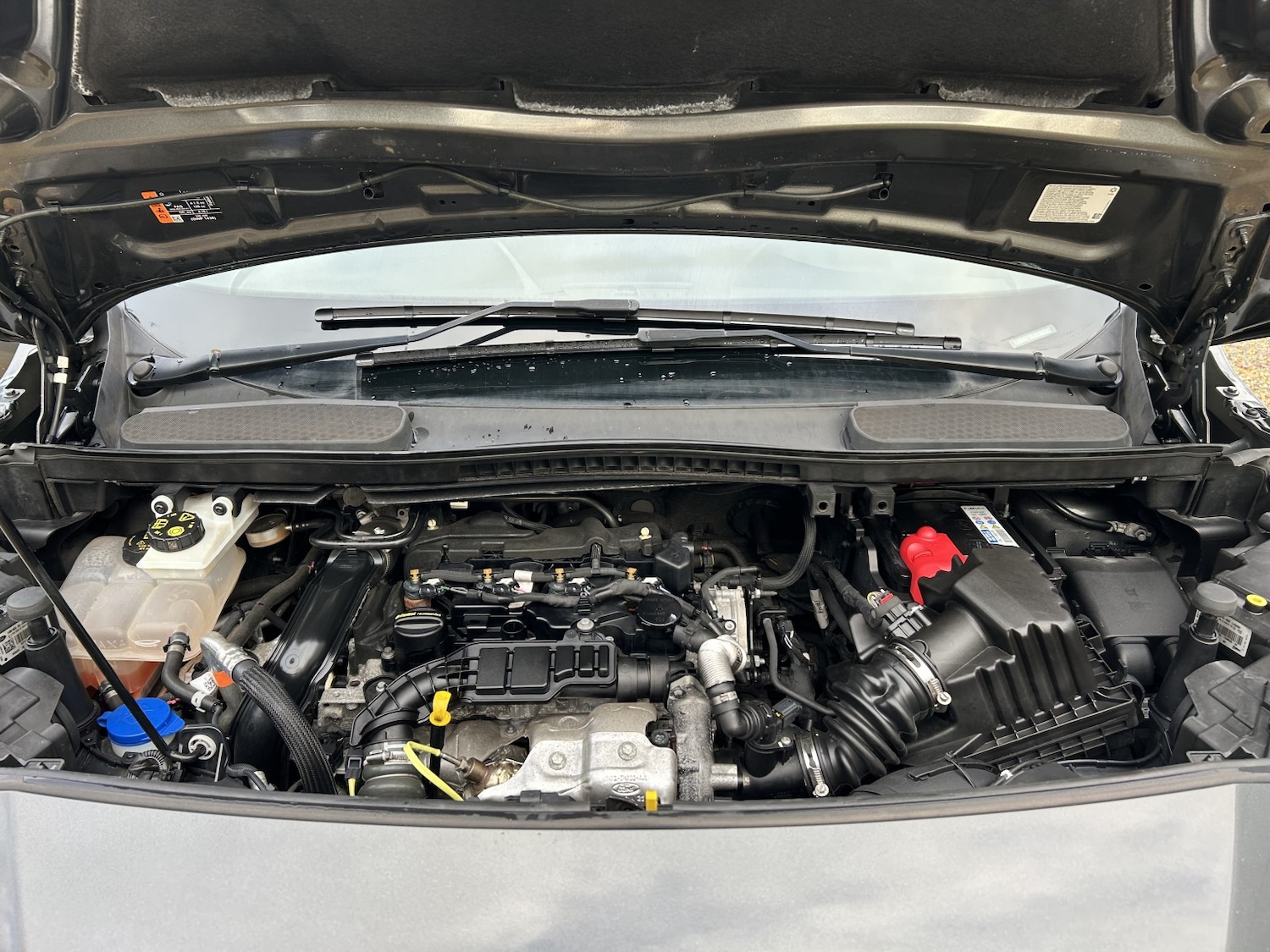 Used Ford Transit Connect 2022 for sale - 77225216: Photo 35