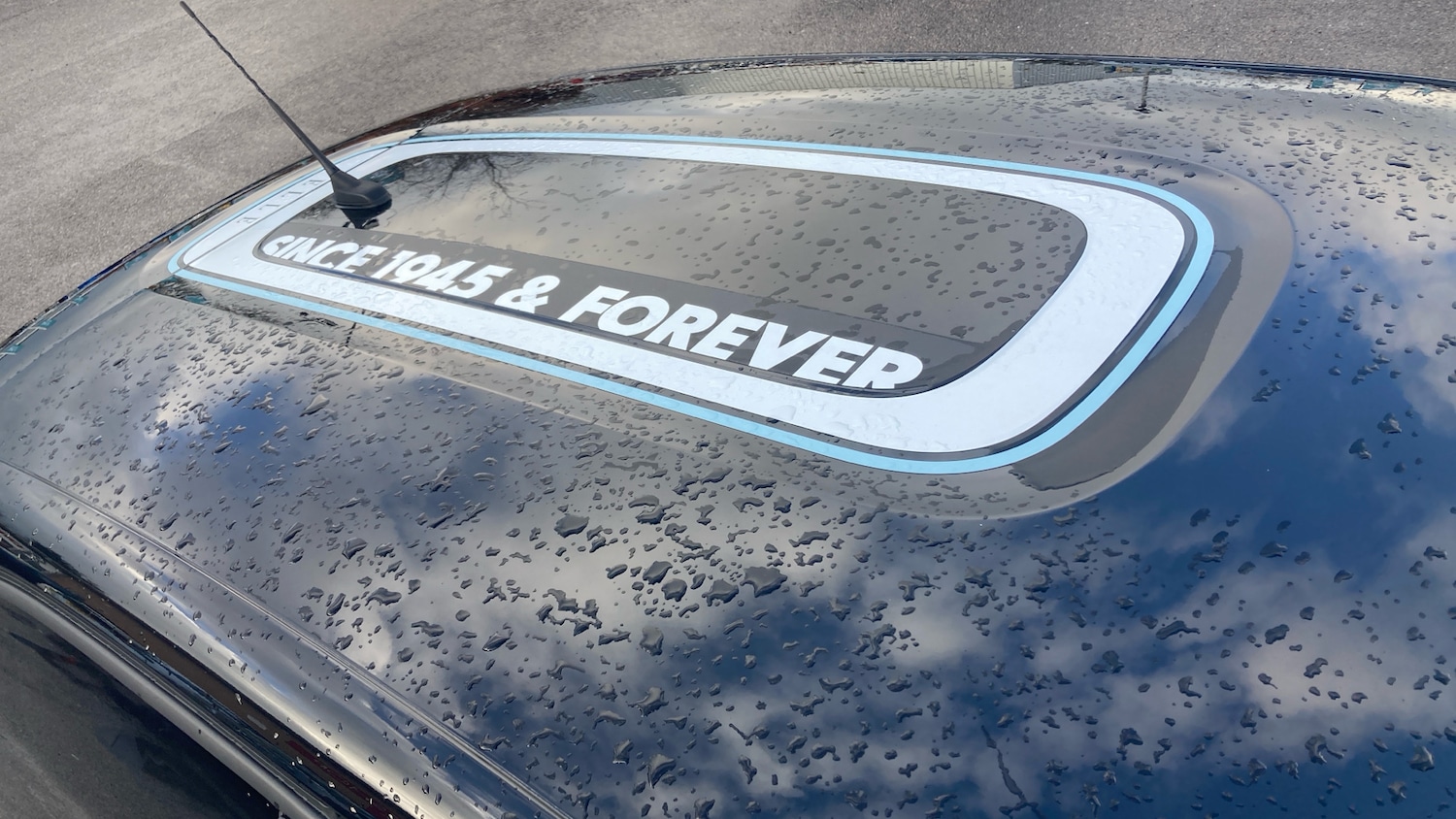 Used Citroen C3 2023 for sale - 77716042: Photo 34