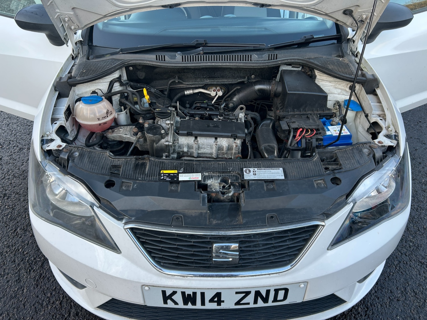 Used SEAT Ibiza 2014 for sale - 76710267: Photo 13