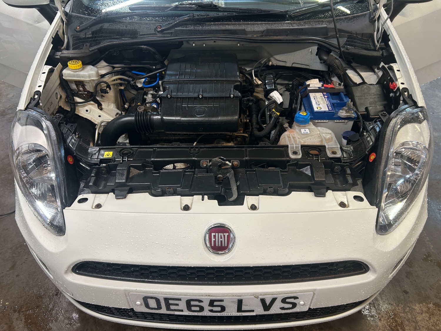 Used Fiat Punto 2015 for sale - 77687405: Photo 12