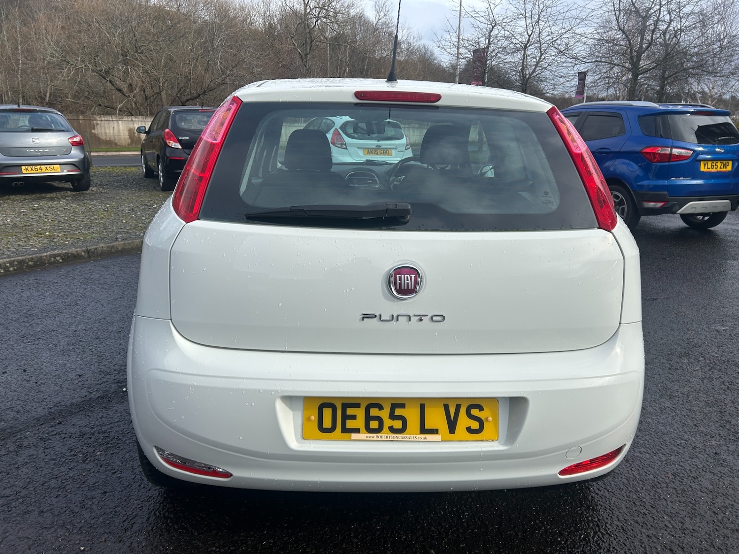 Used Fiat Punto 2015 for sale - 77687405: Photo 6
