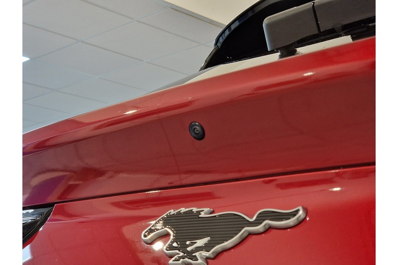 Used Ford Mustang Mach-E 2023 for sale - 76625276: Photo 6