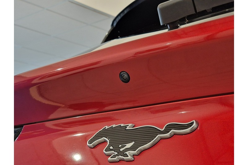 Used Ford Mustang Mach-E 2021 for sale - 76808299: Photo 19