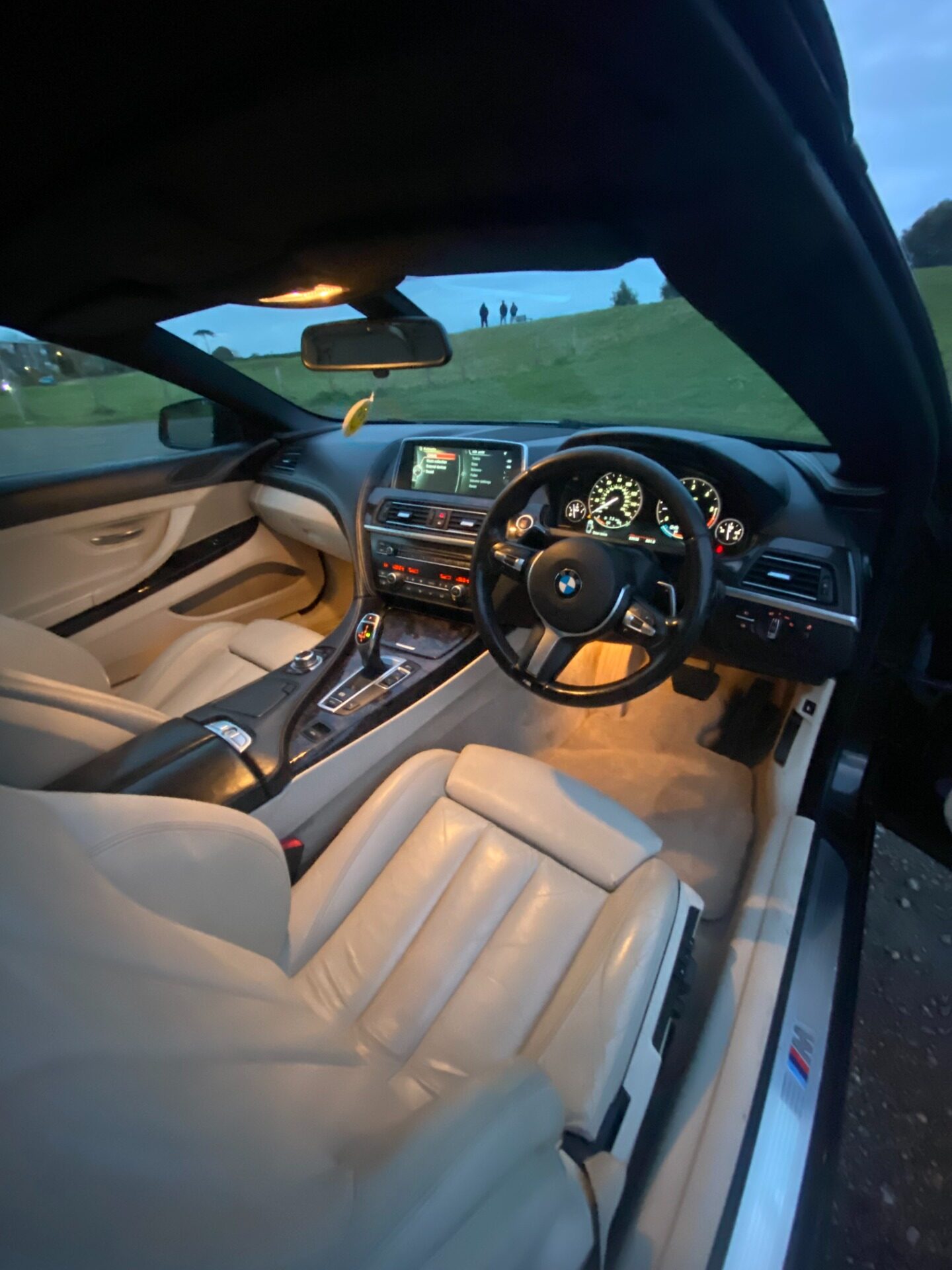 Used BMW 6 Series 2014 for sale - 76809237: Photo 8