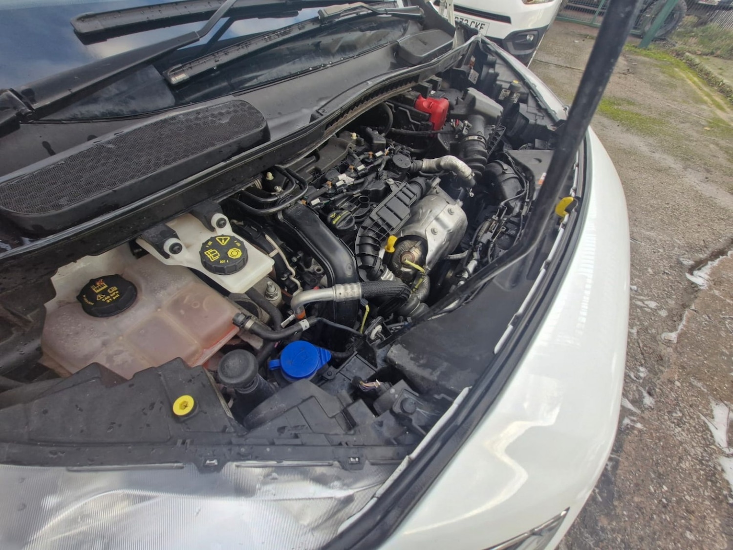 Used Ford Transit Connect 2021 for sale - 77162296: Photo 15