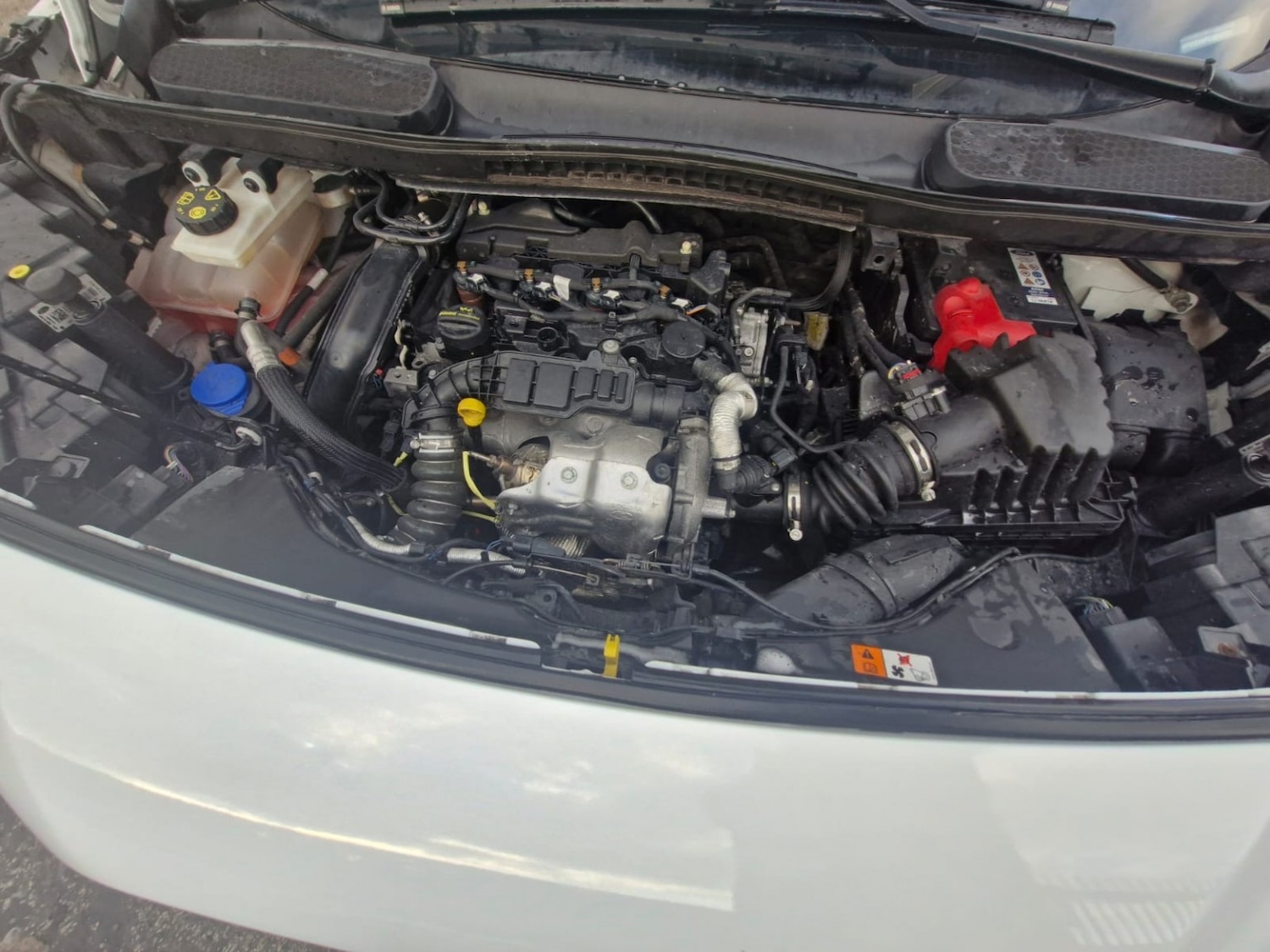 Used Ford Transit Connect 2021 for sale - 77162296: Photo 17