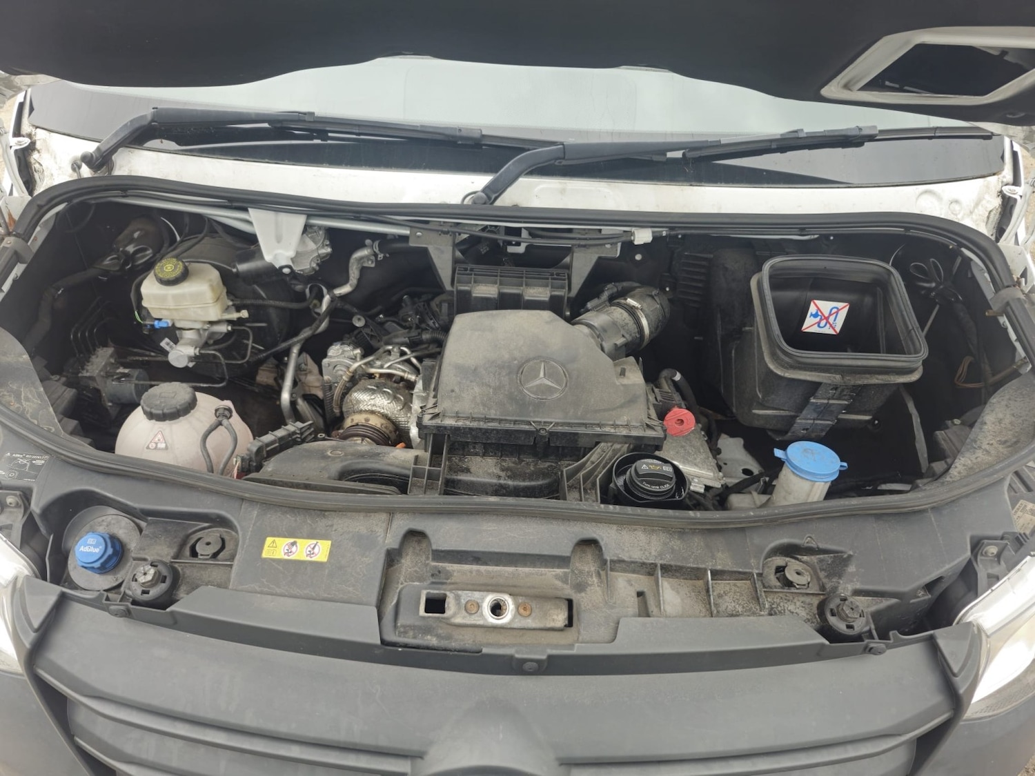 Used Mercedes-Benz Sprinter 2023 for sale - 78098249: Photo 19