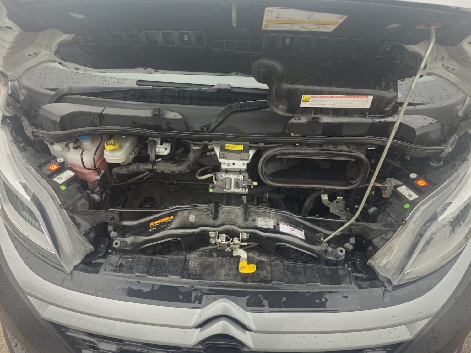 Used Citroen Relay 2023 for sale - 78098266: Photo 16