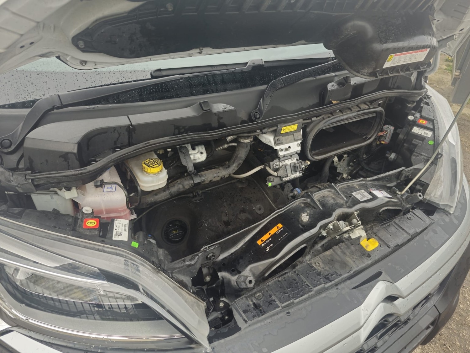 Used Citroen Relay 2023 for sale - 78098266: Photo 17