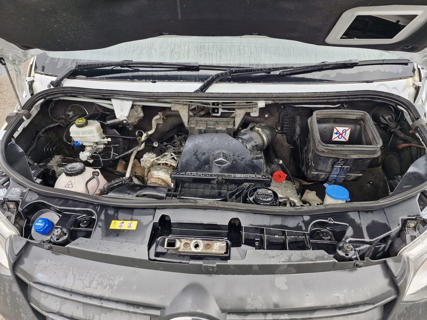 Used Mercedes-Benz Sprinter 2023 for sale - 77694239: Photo 17