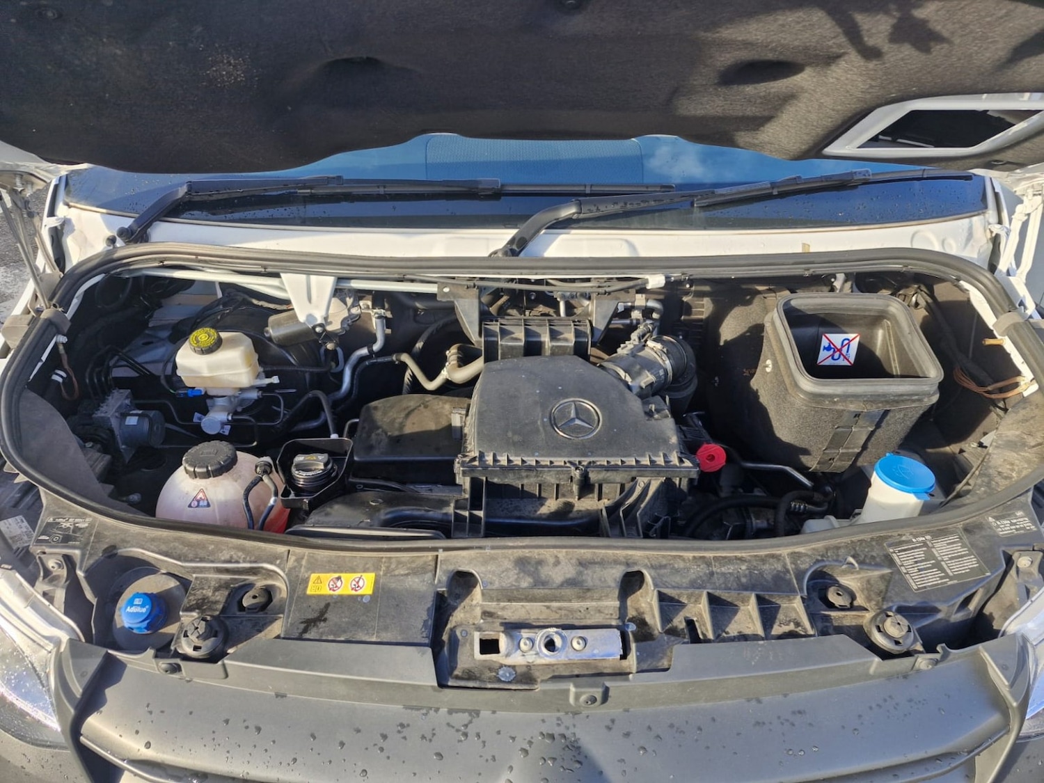 Used Mercedes-Benz Sprinter 2024 for sale - 77781701: Photo 19