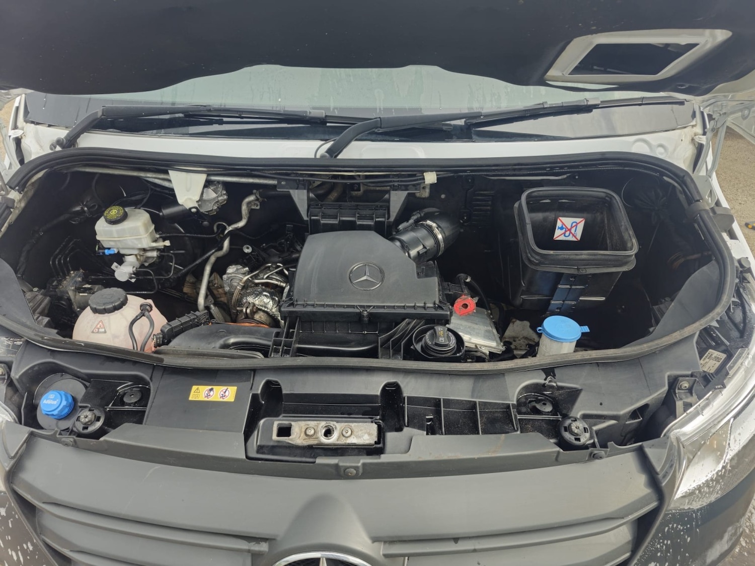 Used Mercedes-Benz Sprinter 2023 for sale - 78198041: Photo 19