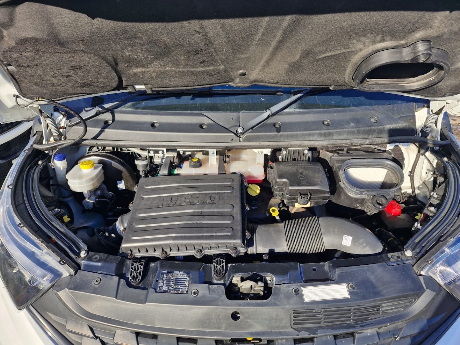 Used Iveco Daily 2021 for sale - 76656079: Photo 18