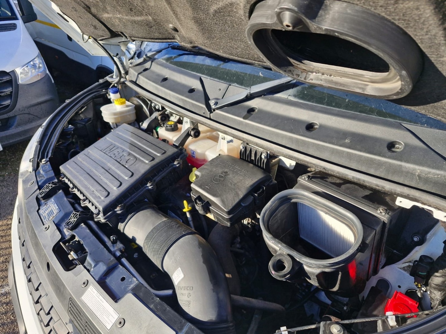 Used Iveco Daily 2021 for sale - 76656079: Photo 19