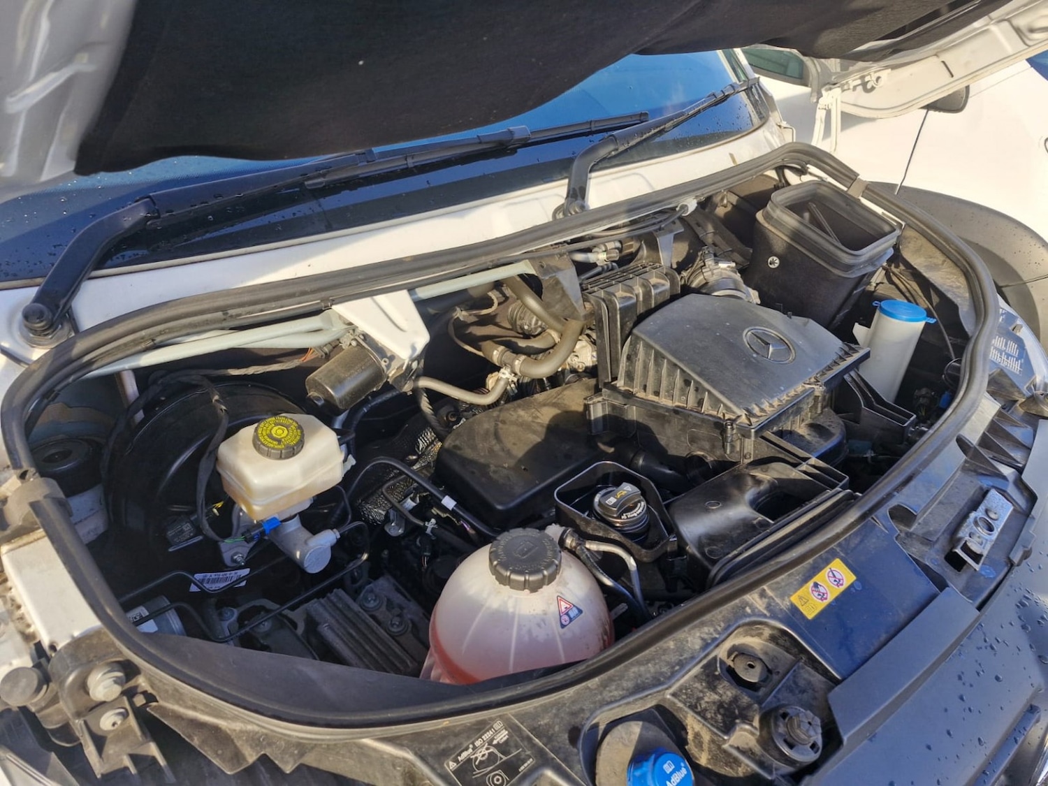 Used Mercedes-Benz Sprinter 2024 for sale - 77694402: Photo 20