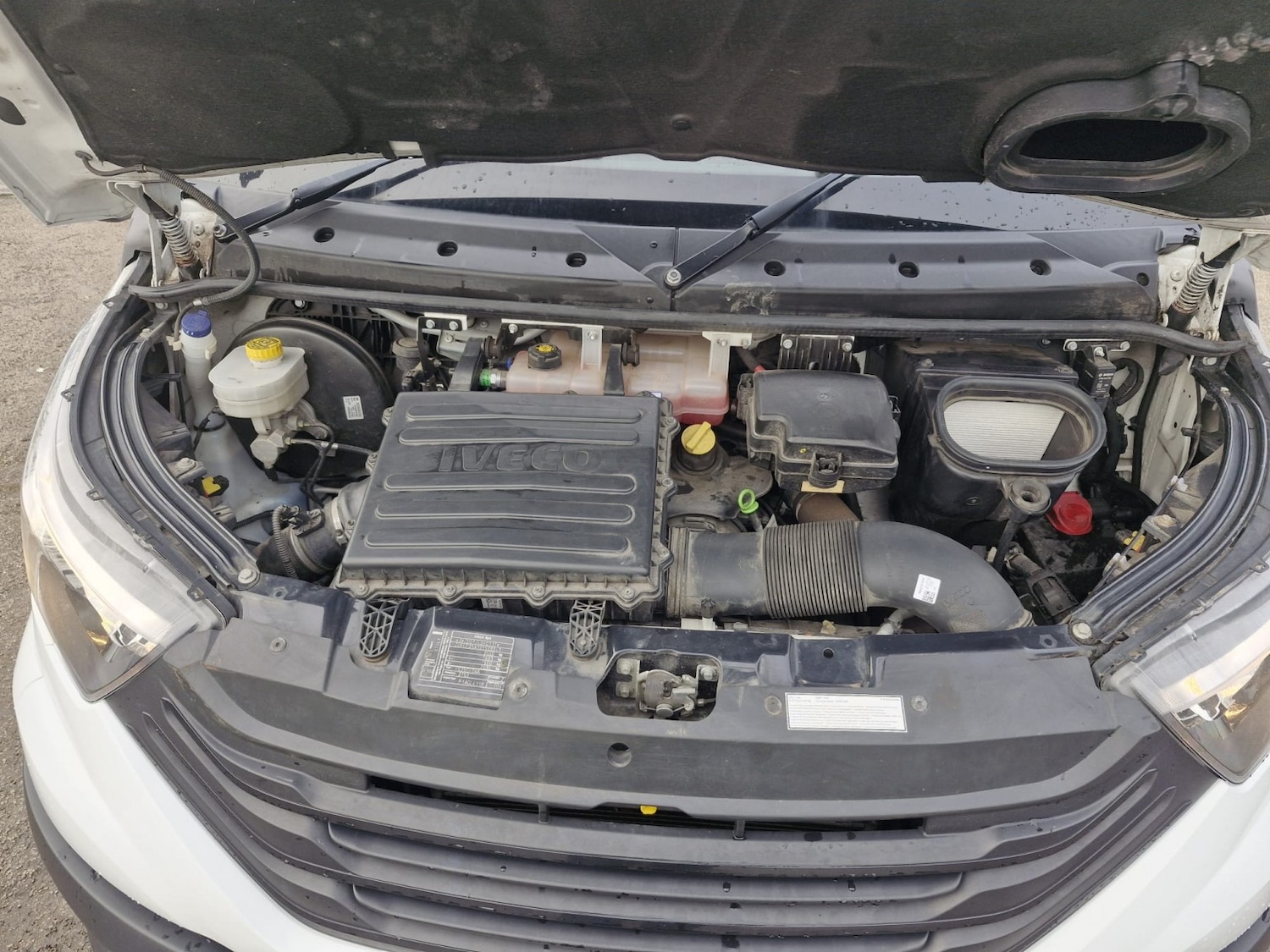 Used Iveco Daily 2023 for sale - 77694214: Photo 22