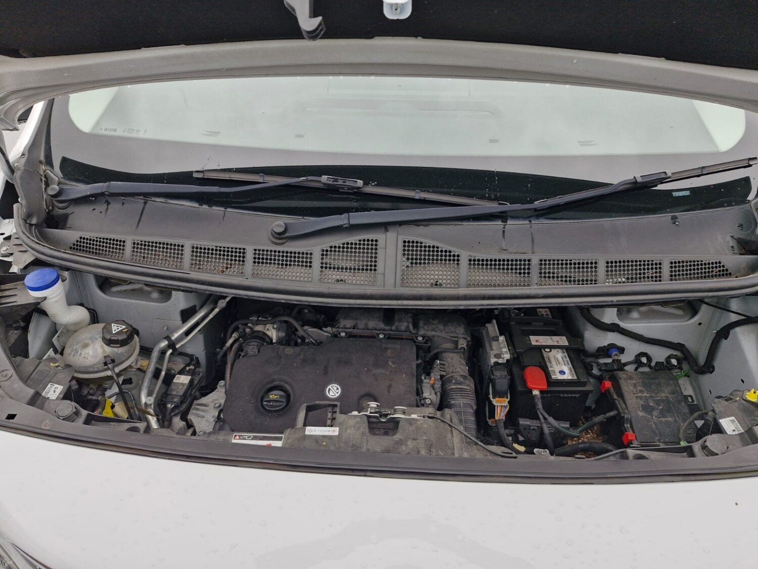 Used Peugeot Expert 2023 for sale - 77694385: Photo 19