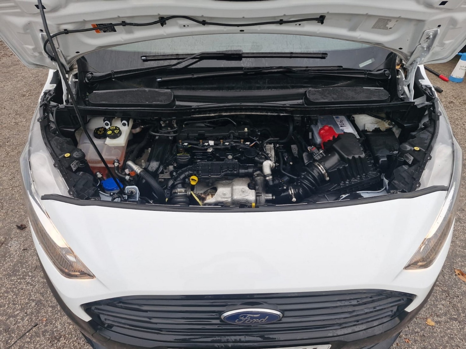 Used Ford Transit Connect 2022 for sale - 76656002: Photo 20