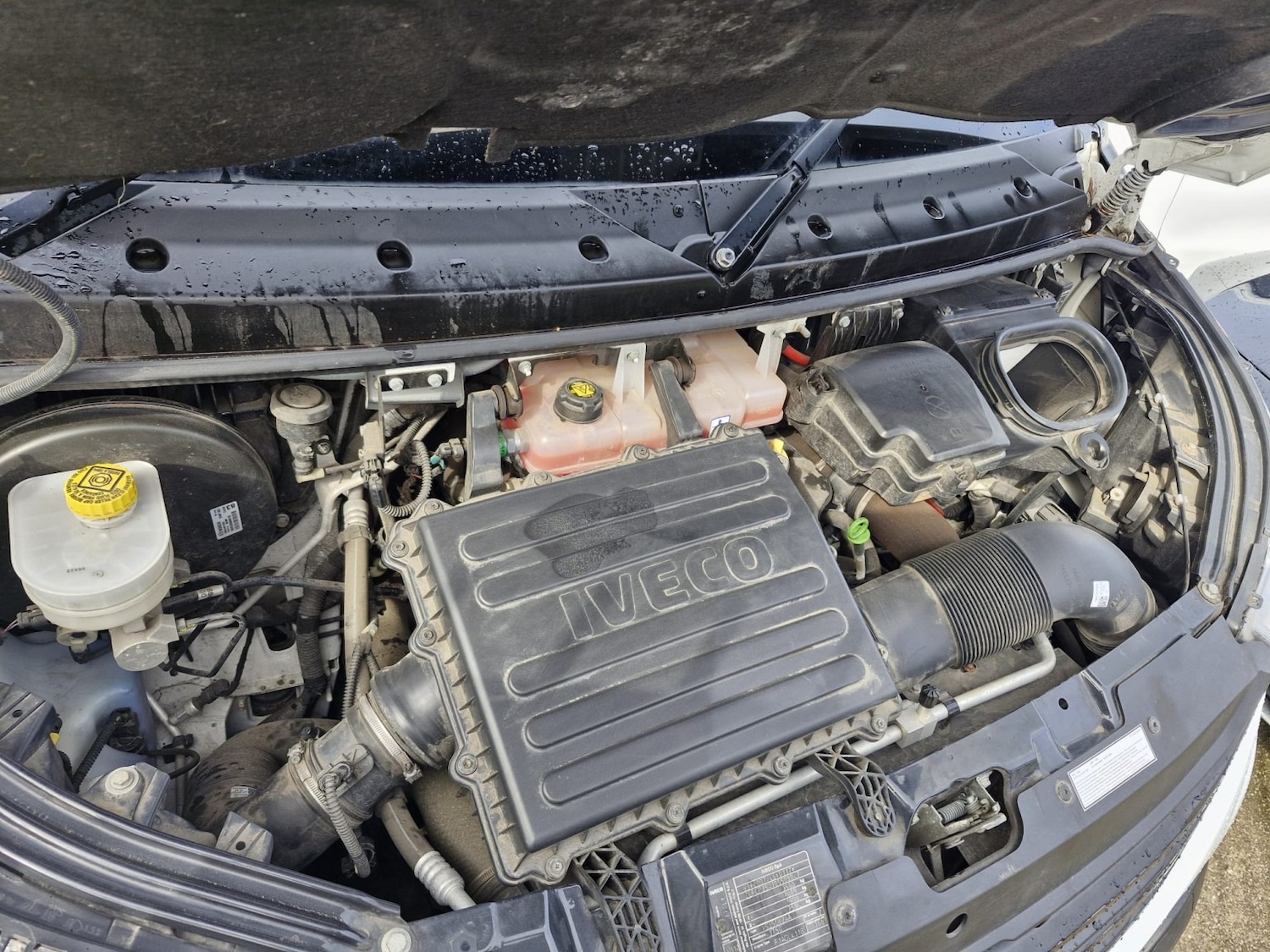 Used Iveco Daily 2023 for sale - 78098150: Photo 23