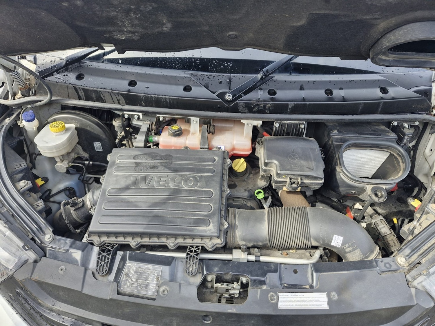 Used Iveco Daily 2023 for sale - 78098150: Photo 24