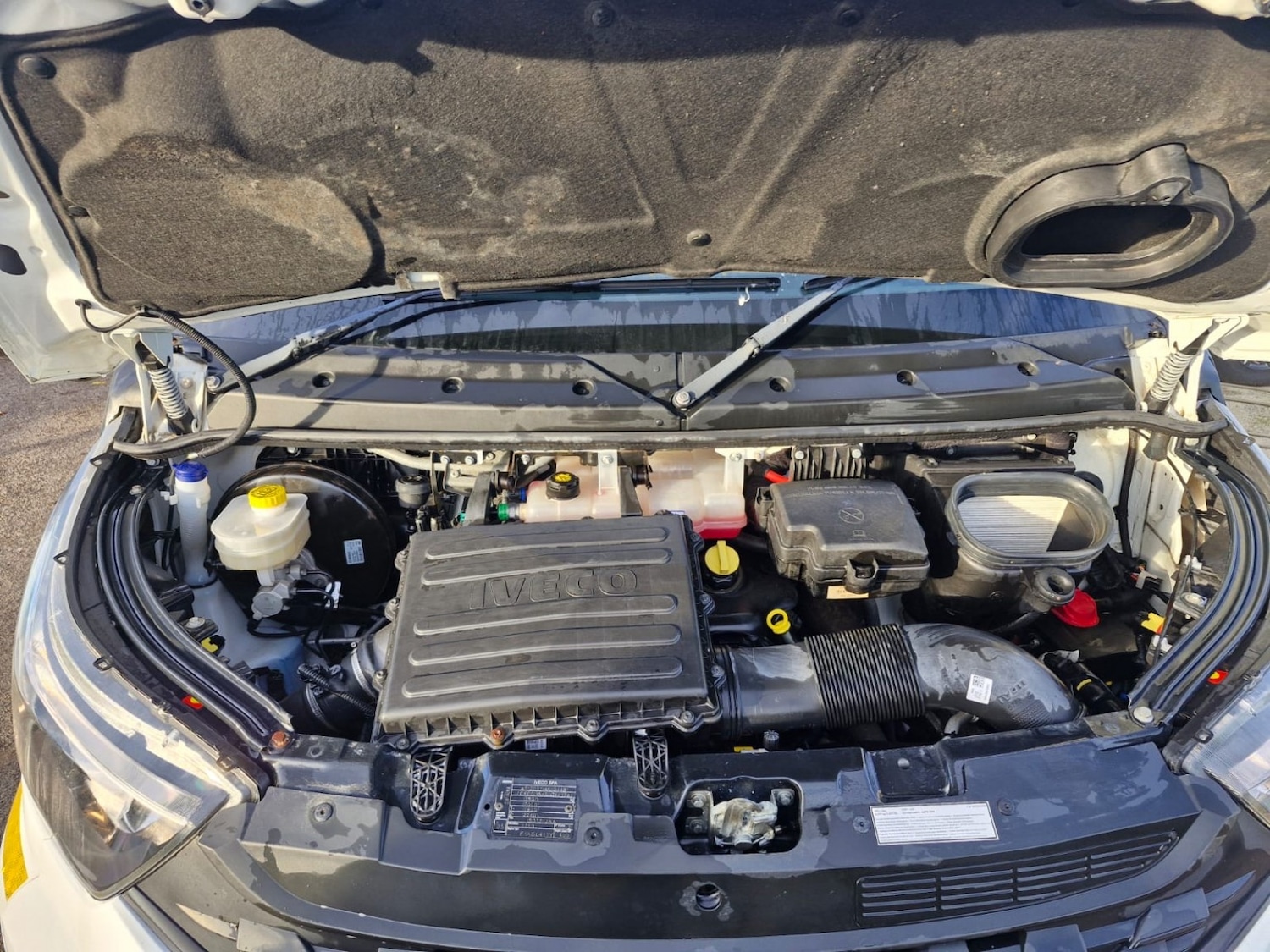 Used Iveco Daily 2021 for sale - 76656041: Photo 17