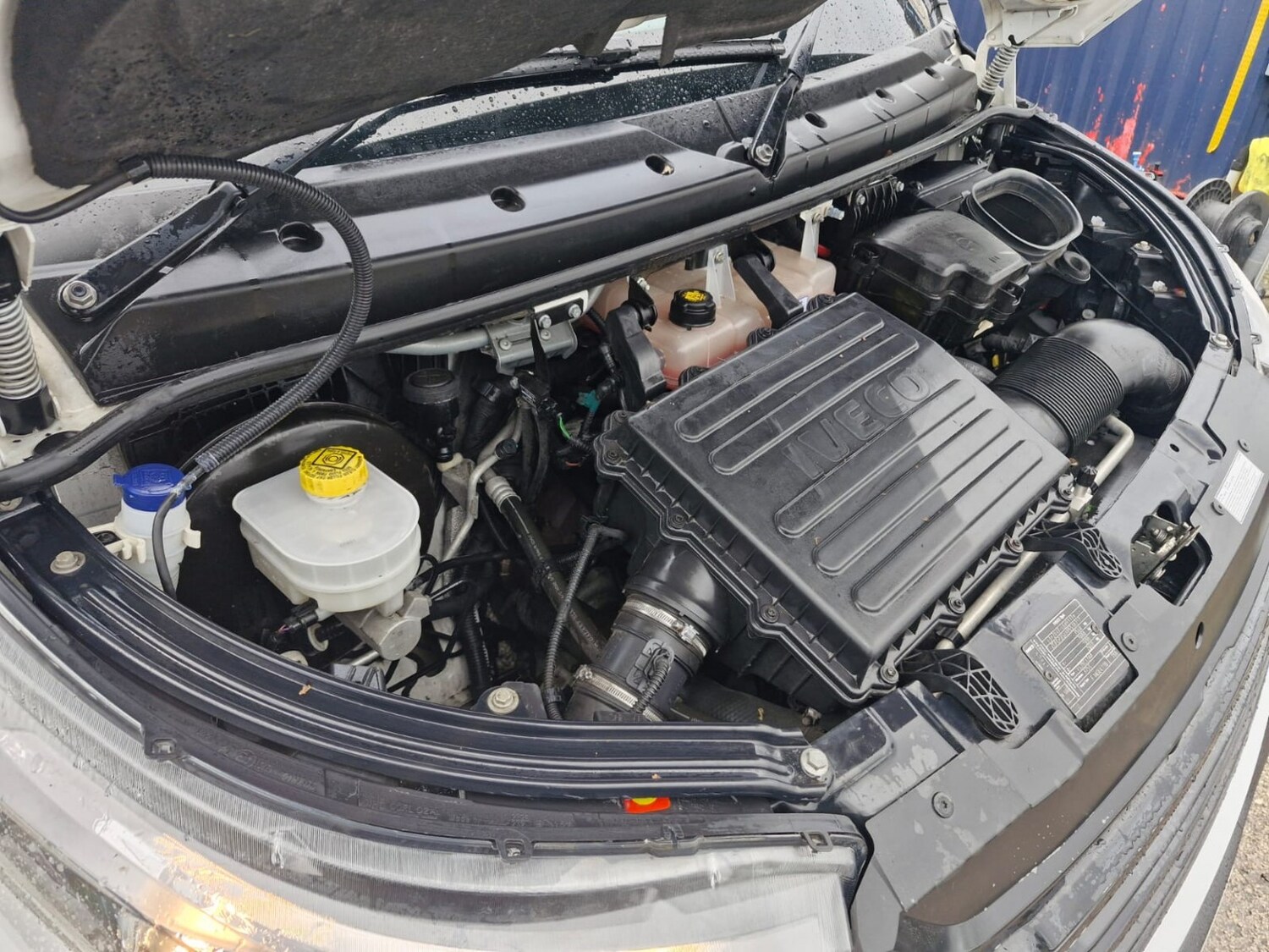 Used Iveco Daily 2023 for sale - 77694386: Photo 23