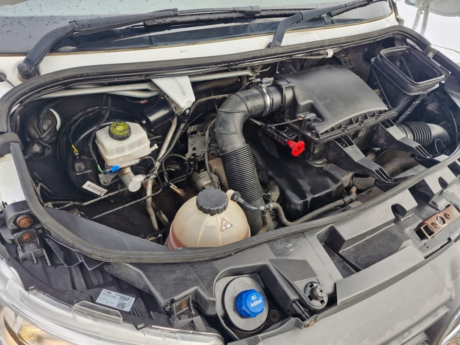 Used Mercedes-Benz Sprinter 2021 for sale - 77694388: Photo 18