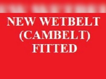 Used Ford Transit Custom 2020 for sale - 76888371: Photo