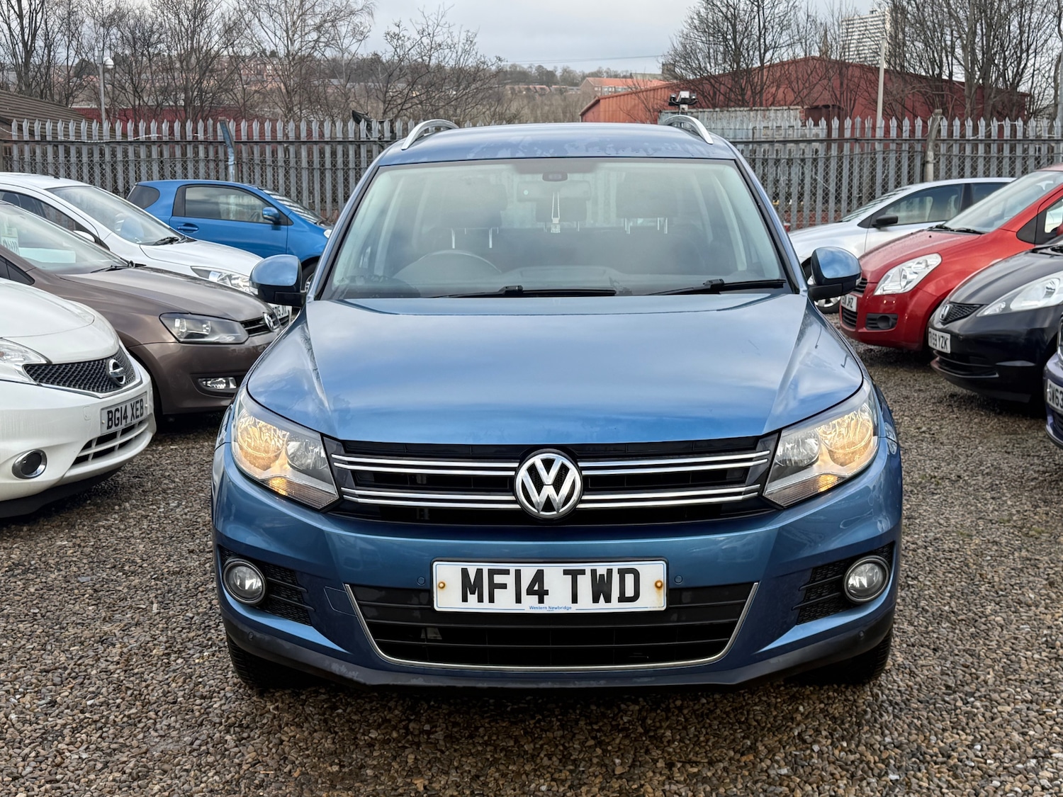 Used Volkswagen Tiguan 2014 for sale - 77398915: Photo 7