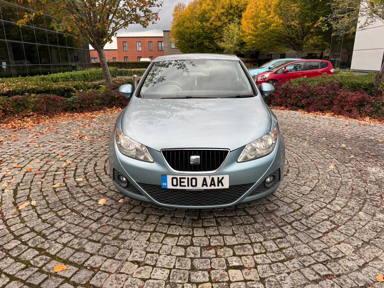 Used SEAT Ibiza 2010 for sale - 76309631: Photo 2