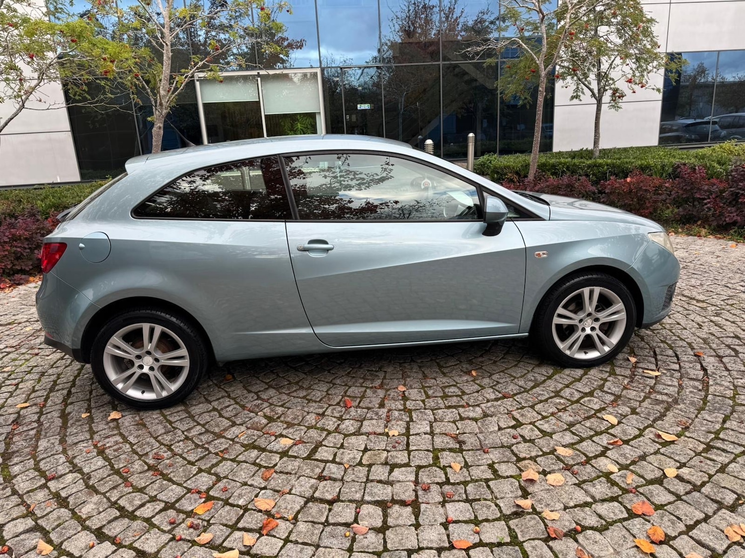 Used SEAT Ibiza 2010 for sale - 76309631: Photo 7