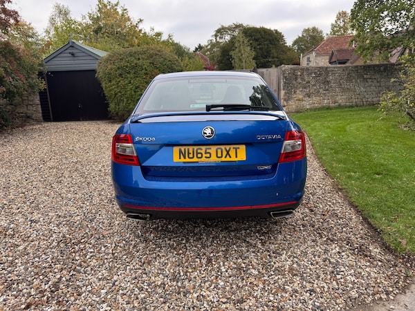 Used Skoda Octavia 2015 for sale - 76252305: Photo 7