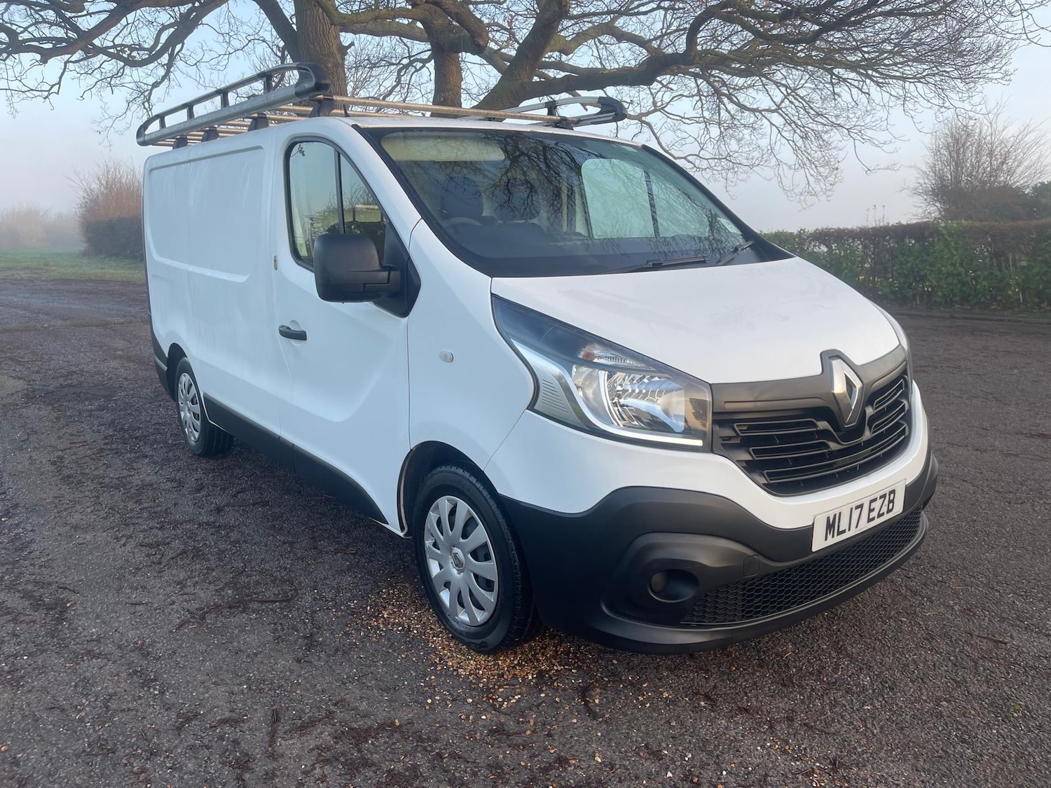 Used Renault Trafic 2017 for sale - 76951393: Photo 2
