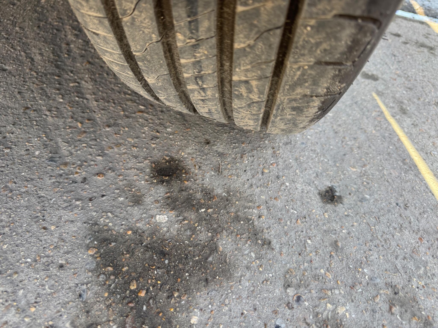 Used Ford Focus for sale - 78033923: Photo 49