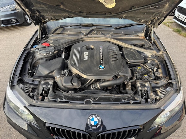Used BMW 2 Series 2018 for sale - 76211848: Photo 31