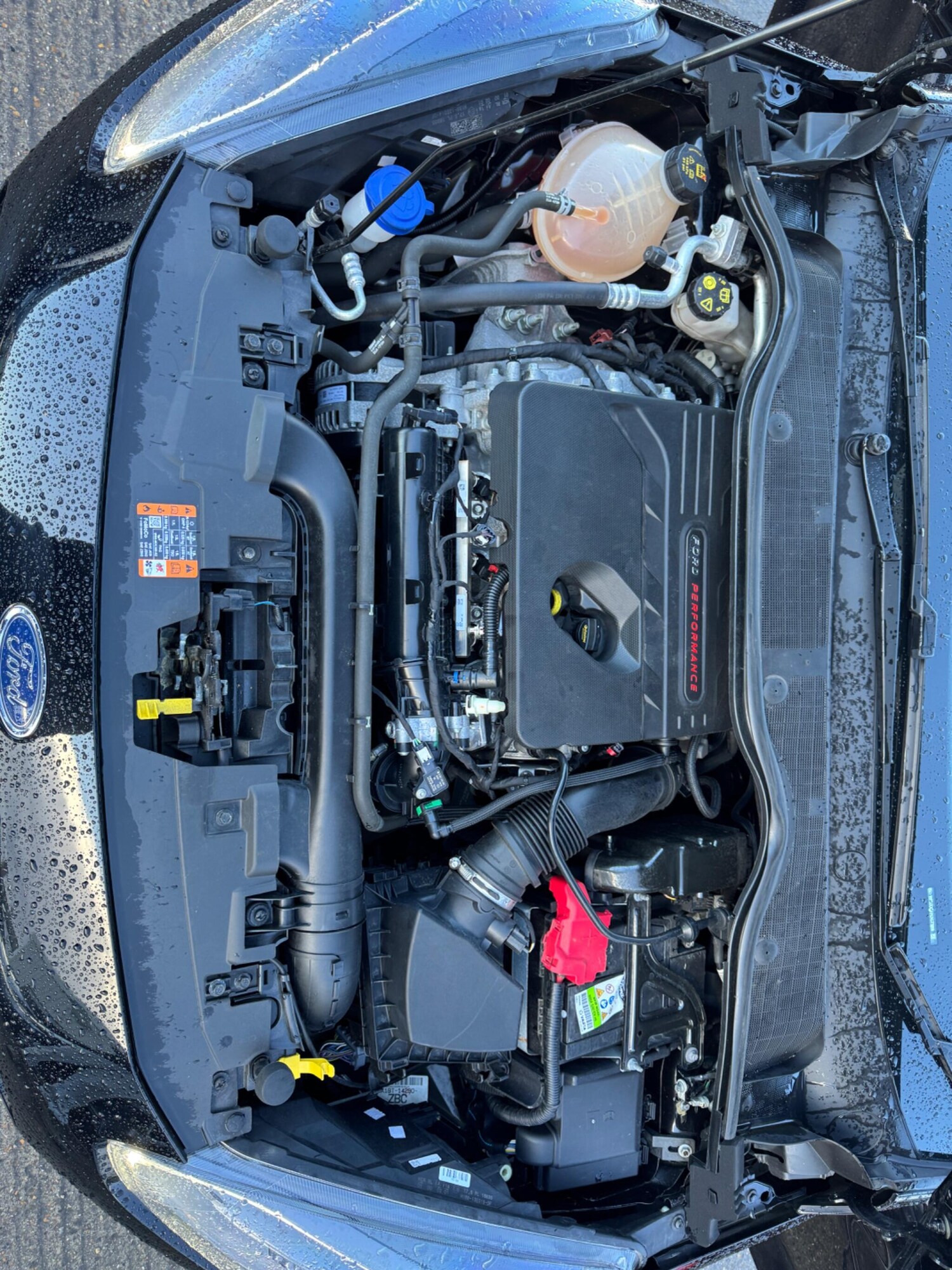 Used Ford Fiesta 2019 for sale - 77573971: Photo 38