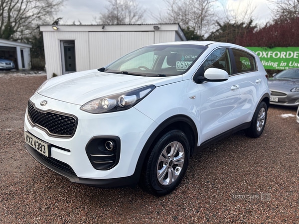 Used Kia Sportage 2017 for sale - 77132181: Photo 3